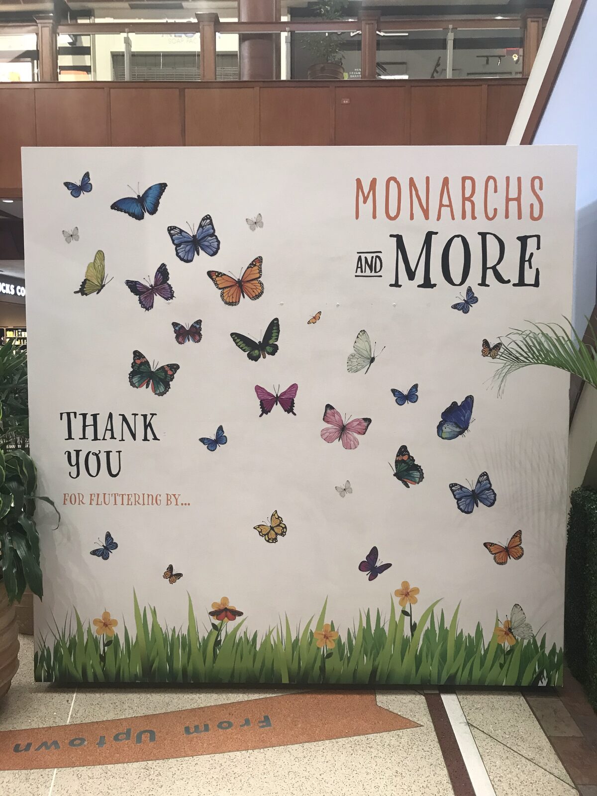 A large-format printed butterfly display graphic produced by Studio OntheRock
